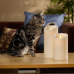 Velas / Real Candle Glow